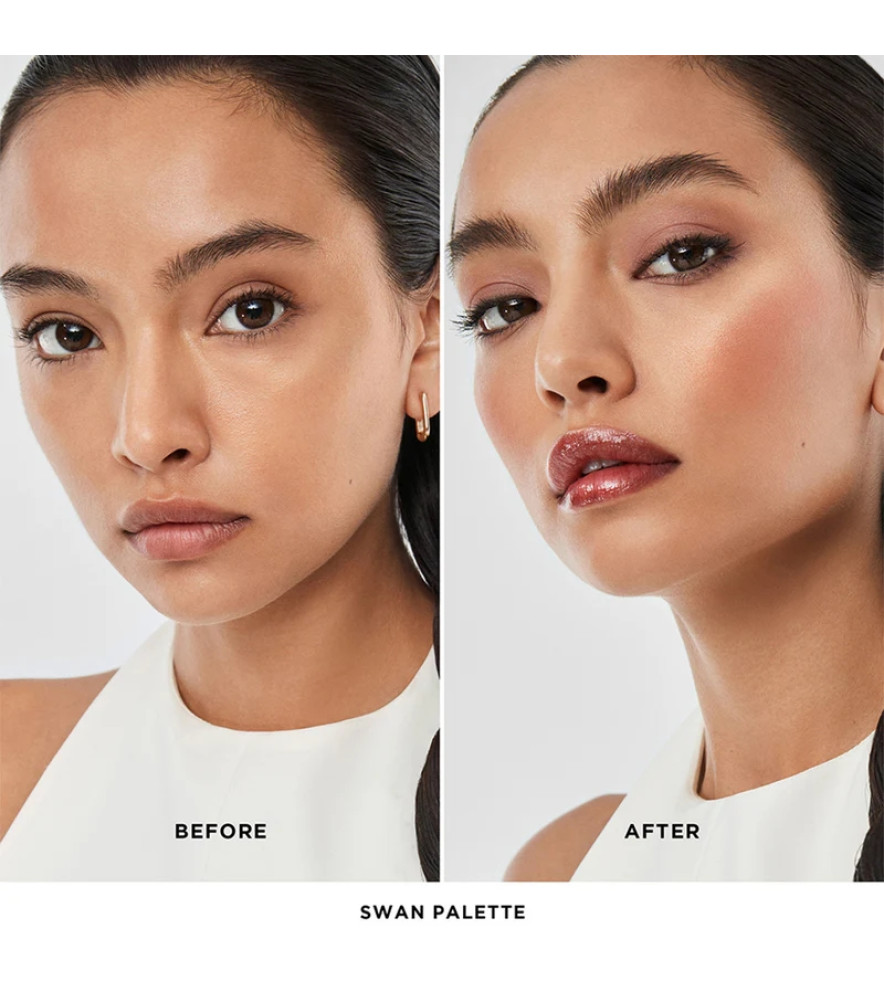 Ambient Lighting Edit Unlocked - Swan